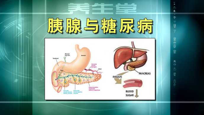 20110612养生堂视频:刘玉村谈胰腺