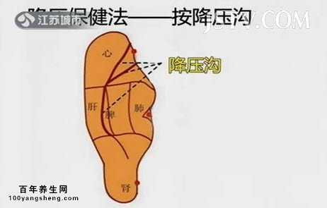 降压沟