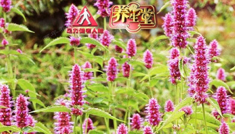 ��������