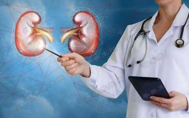 秋季补肾正当令